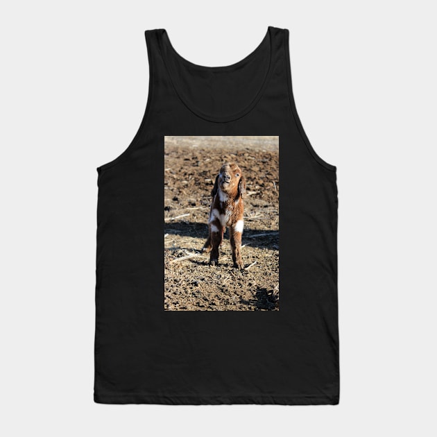 Rocky the Baby Goat Tank Top by ElisabethFriday